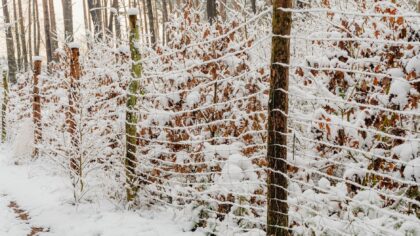 Baltarusijos vaidmuo hibridiniame spaudime prie ES sienos: ką reiškia nuolatinė įtampos būsena